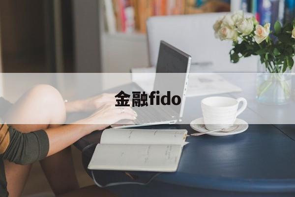 金融fido(金融fi是什么意思)