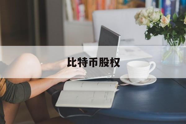 比特币股权(比特币持股比例)