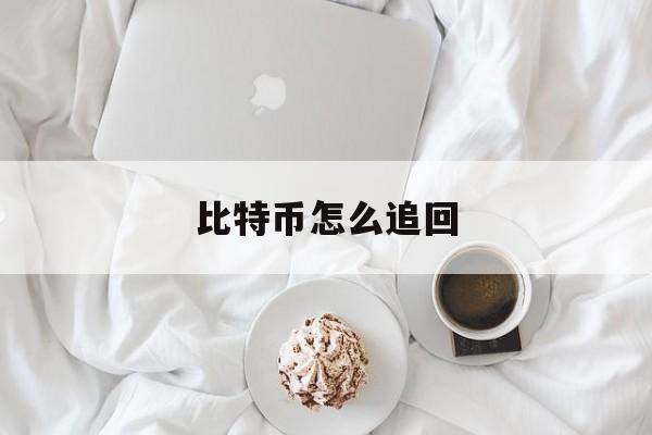 比特币怎么追回(比特币怎么追回钱币)